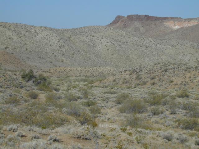 DSCN2708.jpg