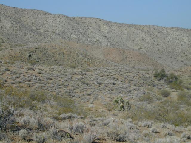 DSCN2709.jpg