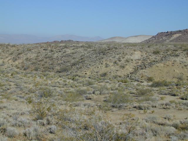 DSCN2714.jpg