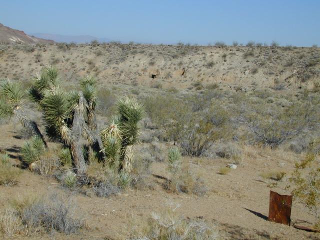 DSCN2715.jpg