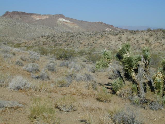 DSCN2716.jpg