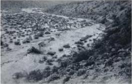 flood2.jpg