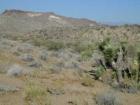 thumbs/canyon1.jpg