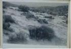thumbs/flood3.jpg