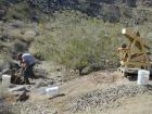 thumbs/prospectin1.jpg