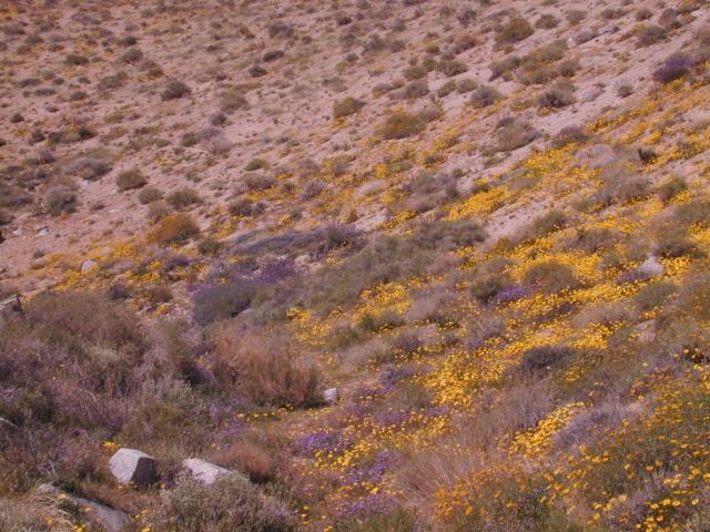 DSCN0378.jpg