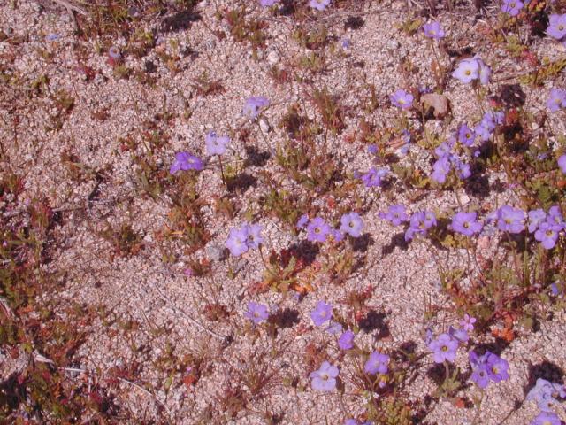 DSCN0379.jpg