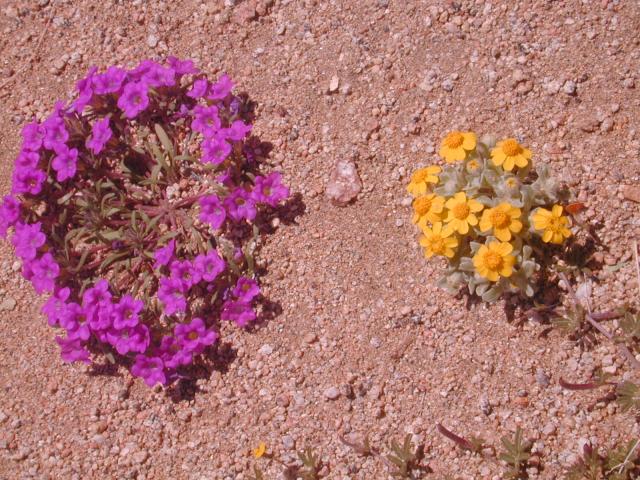 DSCN0388.jpg