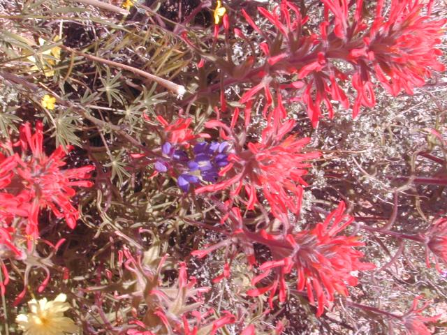 DSCN0404.jpg