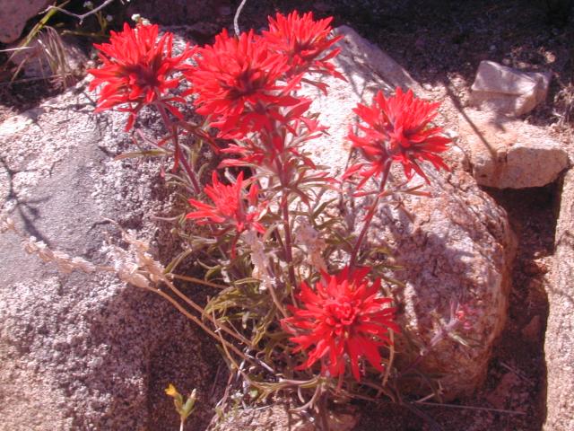 DSCN0424.jpg