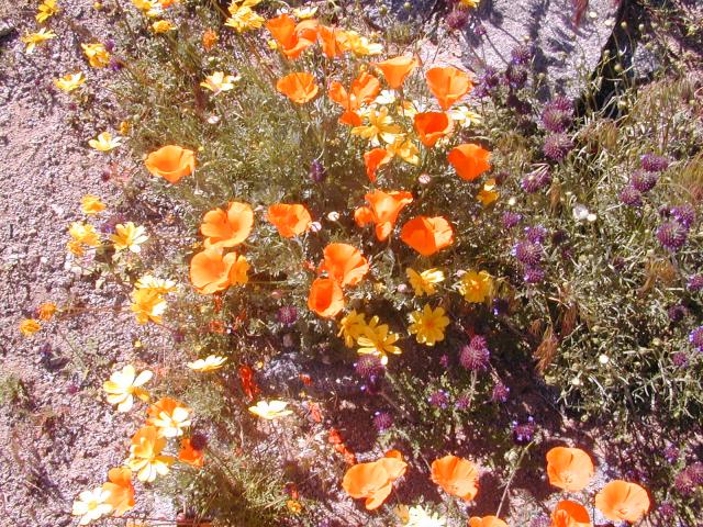 DSCN0450.jpg