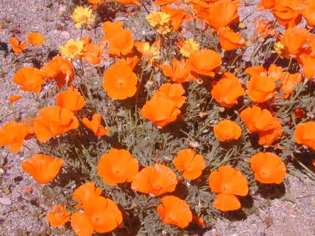 DSCN0455.jpg