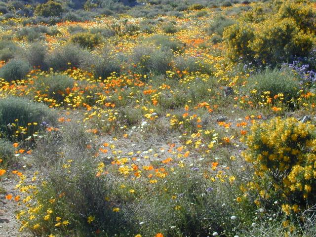 DSCN0457.jpg