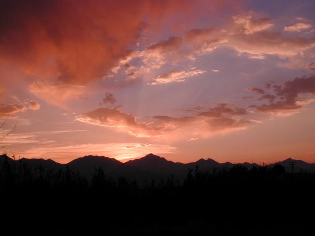 DSCN0629.jpg