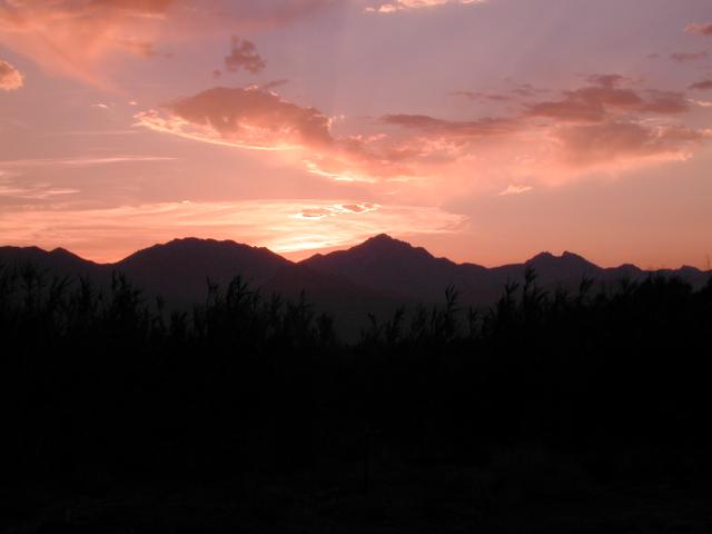 DSCN0630.jpg