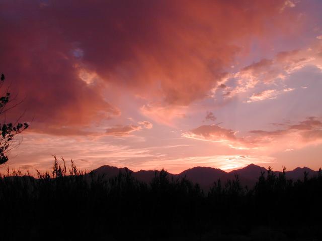 DSCN0631.jpg