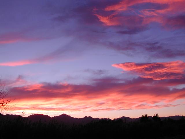 DSCN1390.jpg