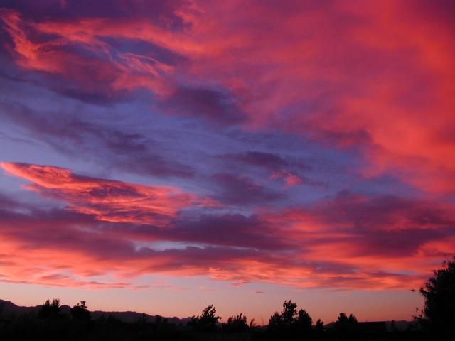 DSCN1392.jpg