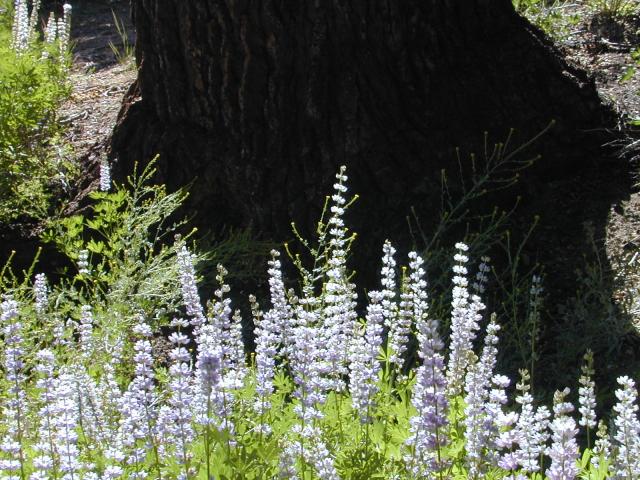 DSCN2928.jpg