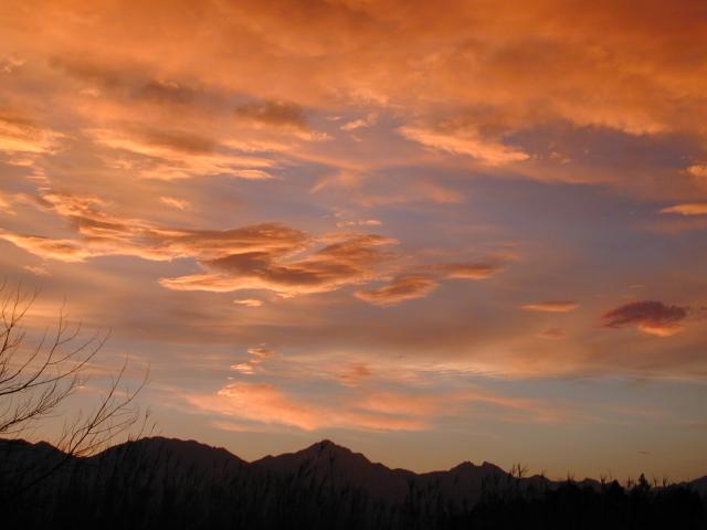 DSCN3116.jpg