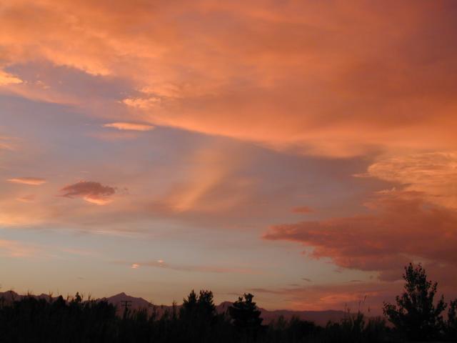 DSCN3117.jpg