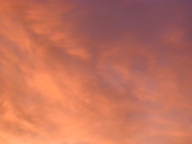 DSCN3118.jpg