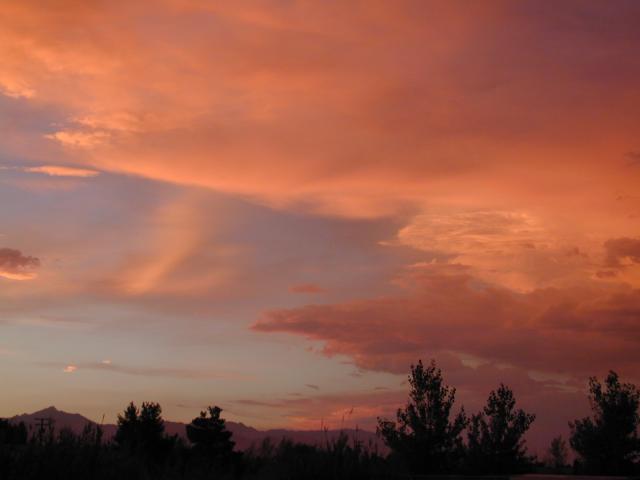 DSCN3119.jpg