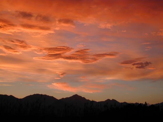 DSCN3126.jpg