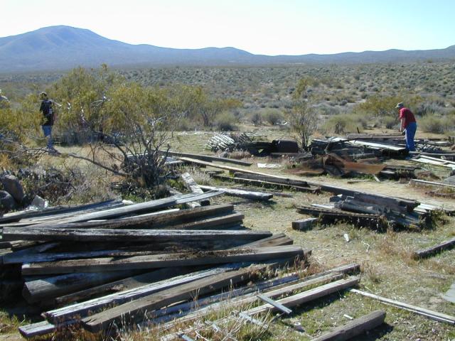woodsearch.jpg.jpg