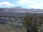 thumbs/blackmtn.jpg.jpg