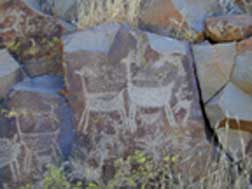petroglyph