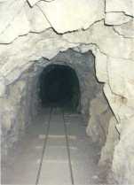 the tunnel
